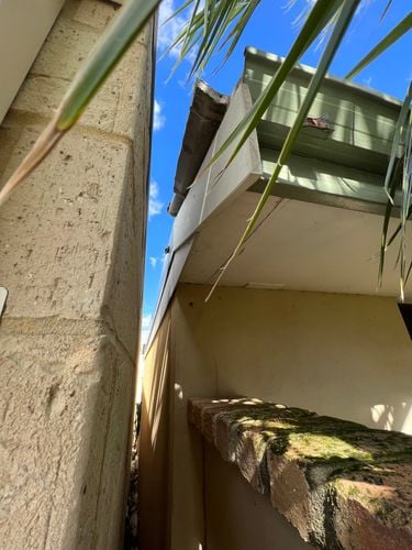 IMG_1272.jpg IMG_1272.jpg