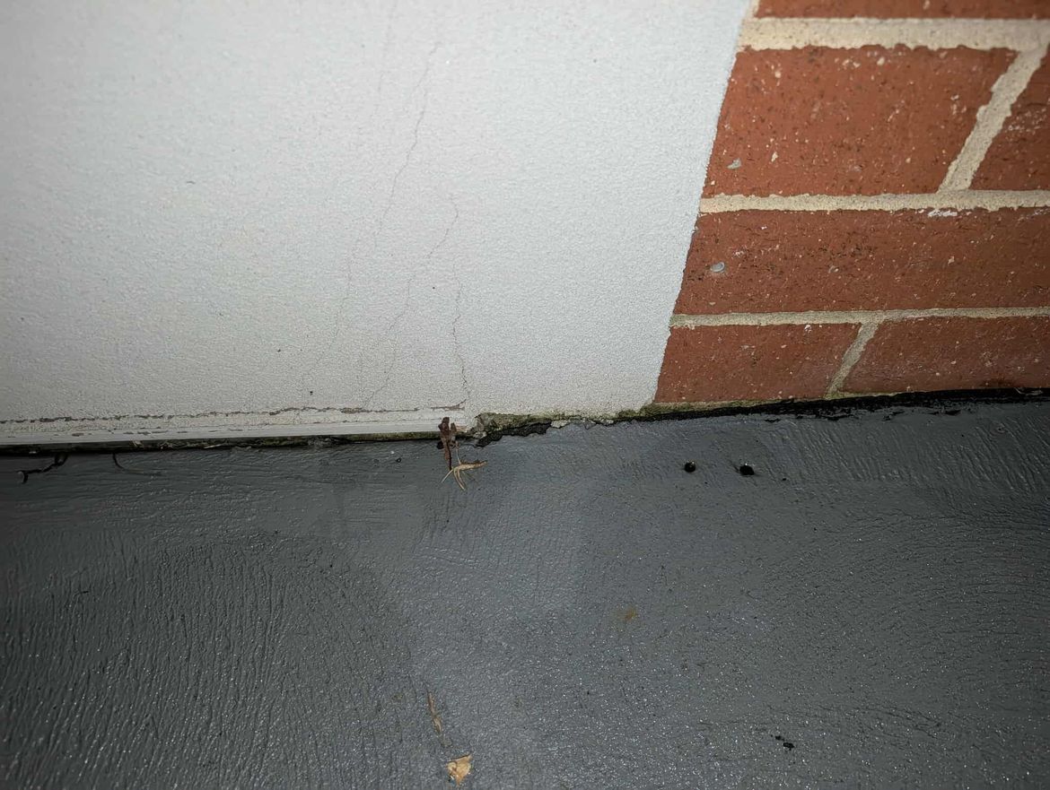 514310913_1416111549432777_3516451611995922893_n.jpg 514310913_1416111549432777_3516451611995922893_n.jpg