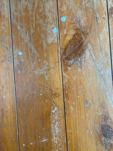 11F081B2-D3EF-4B6E-B849-BBC4F83C26A7.jpeg 11F081B2-D3EF-4B6E-B849-BBC4F83C26A7.jpeg