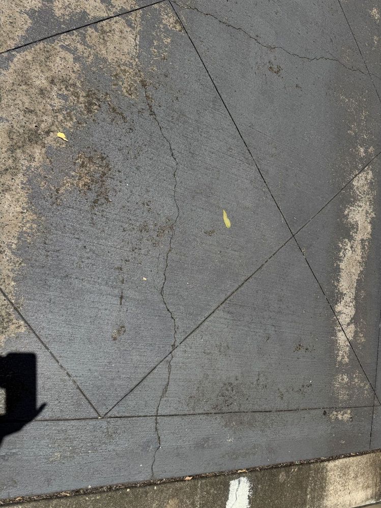 IMG_5577.jpg IMG_5577.jpg