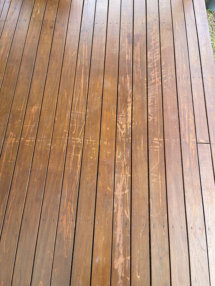 IMG_0664.jpg IMG_0664.jpg