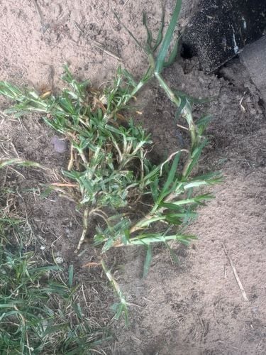 IMG_8187.jpeg IMG_8187.jpeg