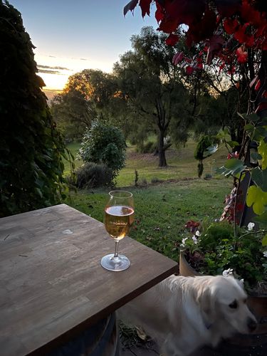 EC017BFC-999C-489F-8929-B11CC83F4239.jpeg EC017BFC-999C-489F-8929-B11CC83F4239.jpeg