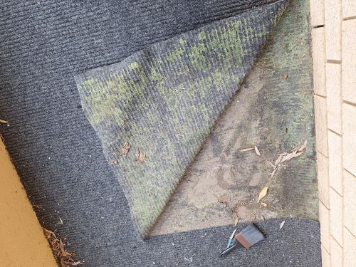 20250426_085431.jpg 20250426_085431.jpg