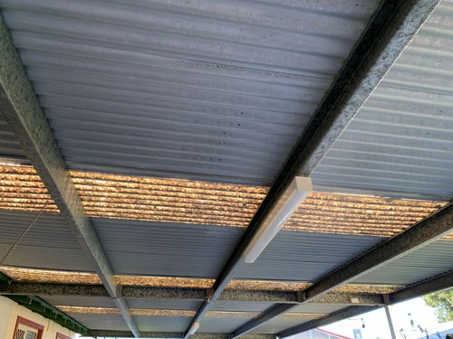 IMG_0396.jpeg IMG_0396.jpeg