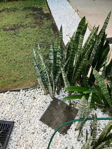 417519428_10161392186595288_436684647855450743_n.jpg 417519428_10161392186595288_436684647855450743_n.jpg