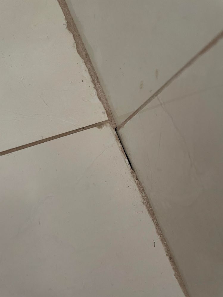Tiles3.jpeg Tiles3.jpeg