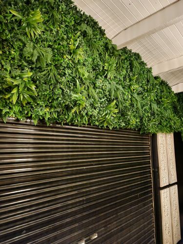 1000001107.jpg 1000001107.jpg