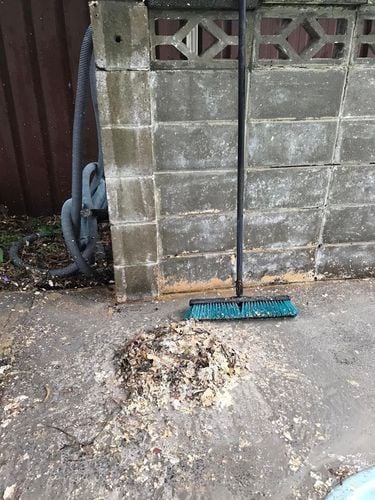 17 15-01-2024.jpg 17 15-01-2024.jpg