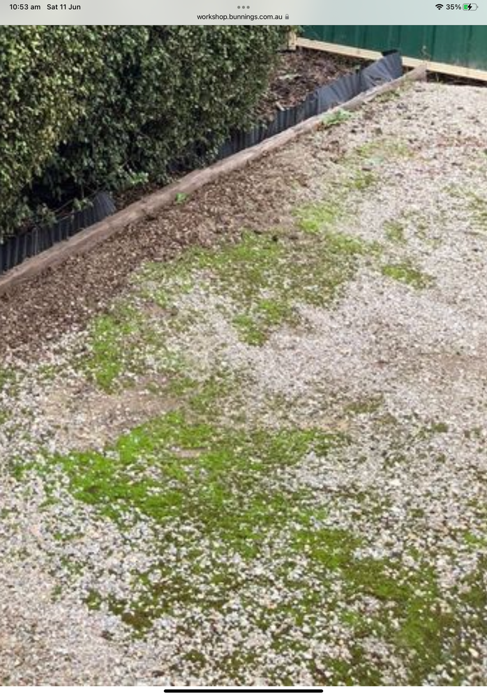 95B9D4FD-DDF7-4BFF-BA58-D661036C5761.png 95B9D4FD-DDF7-4BFF-BA58-D661036C5761.png