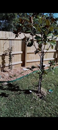 inbound2984194600620665008.jpg inbound2984194600620665008.jpg