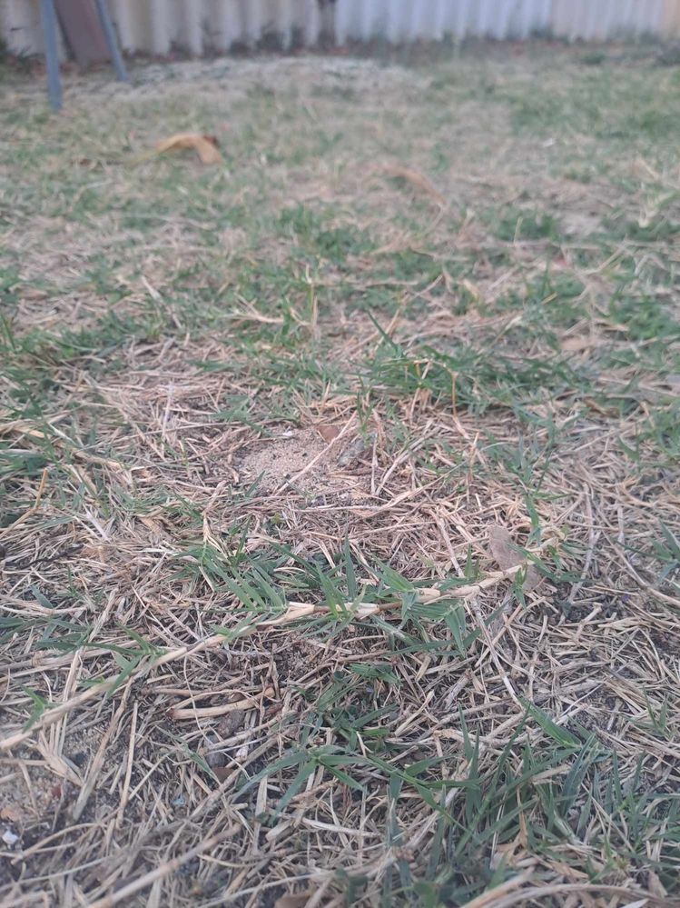 441529554_329283023379492_1332822344954212791_n.jpg 441529554_329283023379492_1332822344954212791_n.jpg