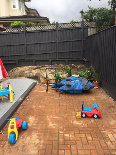 IMG_3096.JPG IMG_3096.JPG