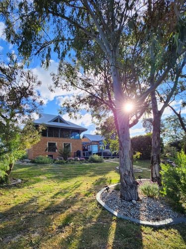 20251015_164437(1).jpg 20251015_164437(1).jpg