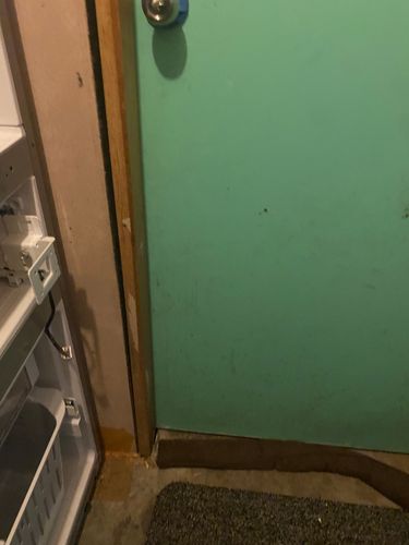 551D3F7E-2824-4E19-B732-92635D0A57B9.jpeg 551D3F7E-2824-4E19-B732-92635D0A57B9.jpeg