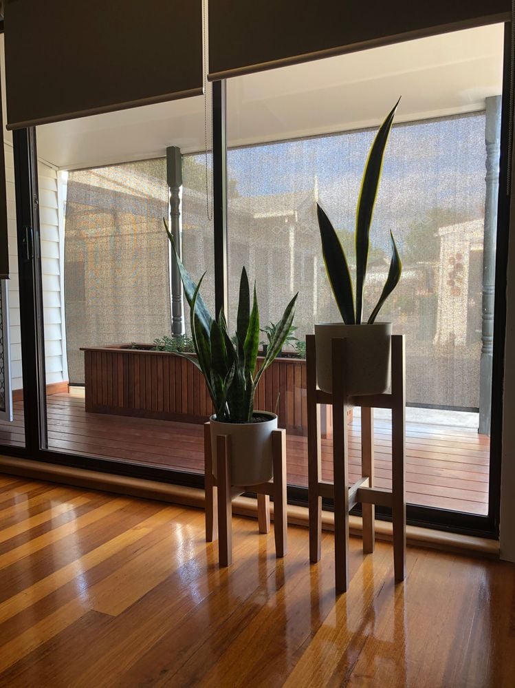 IMG_8292.JPG IMG_8292.JPG