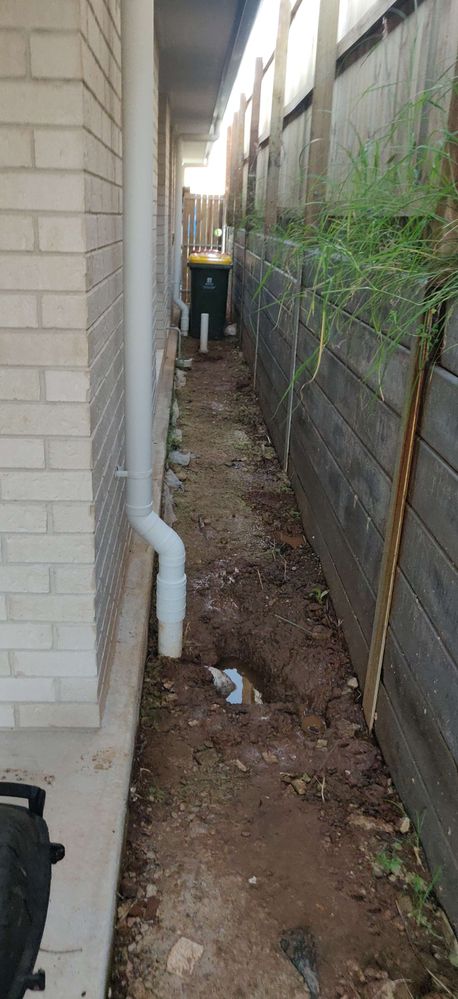 IMG_20240103_184330.jpg IMG_20240103_184330.jpg