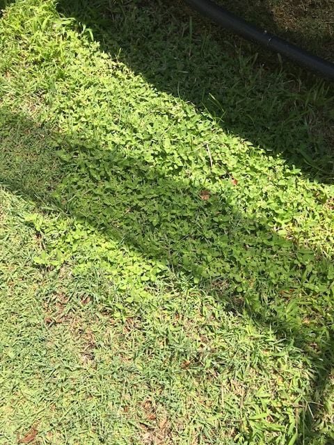 IMG_9657.JPG IMG_9657.JPG