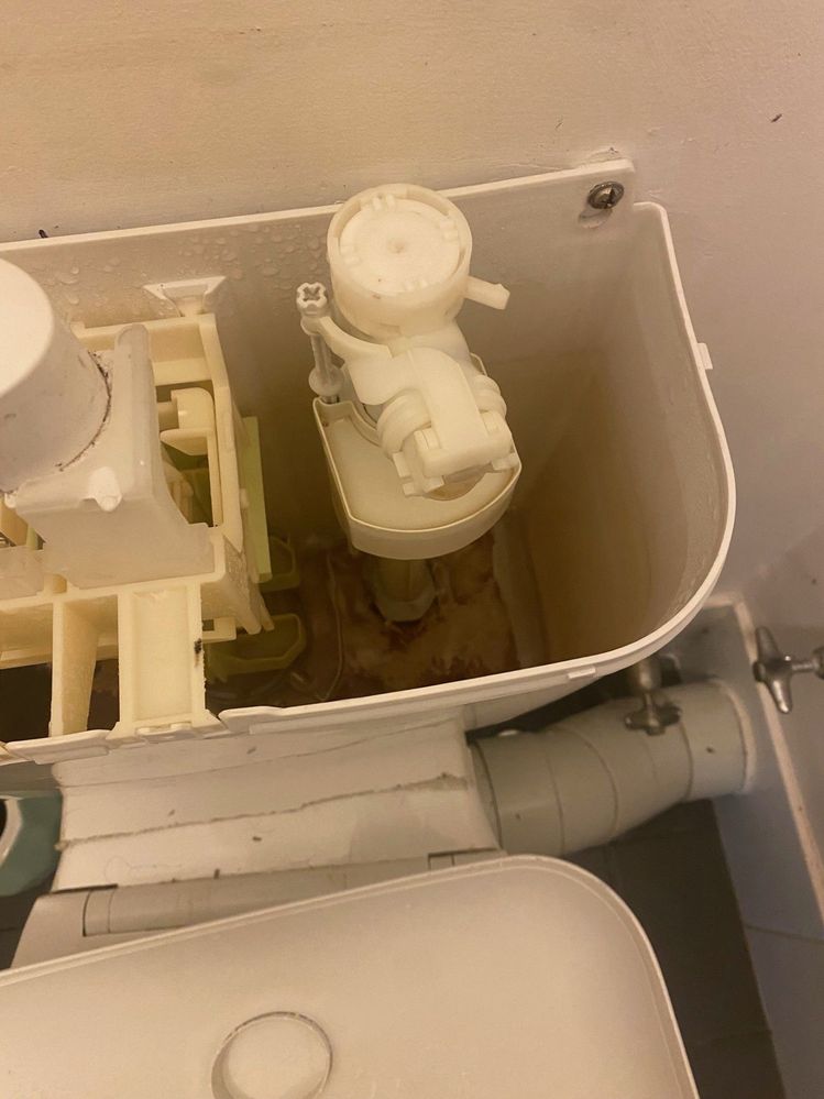 thumbnail_IMG_5194.jpg thumbnail_IMG_5194.jpg