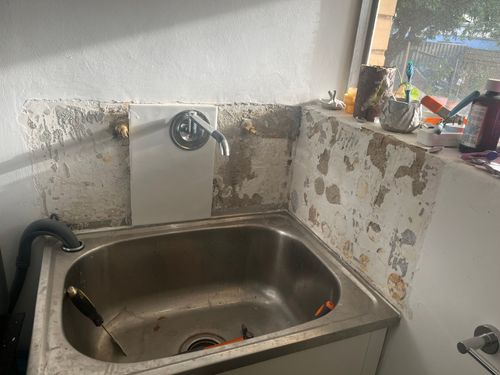 IMG_5188.jpeg IMG_5188.jpeg