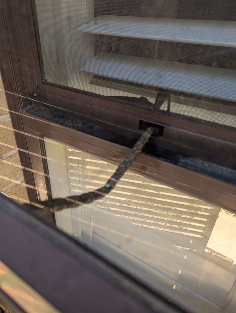 PXL_20241107_233549269.jpg PXL_20241107_233549269.jpg