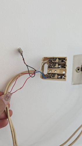 1000009442.jpg 1000009442.jpg