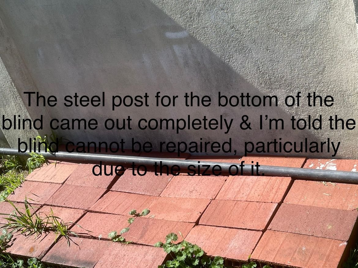 IMG_1013.jpeg IMG_1013.jpeg