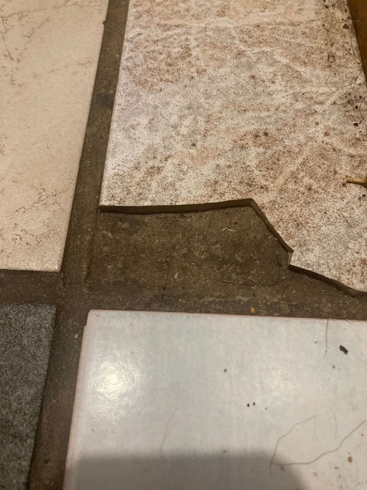 IMG_2926.JPG IMG_2926.JPG