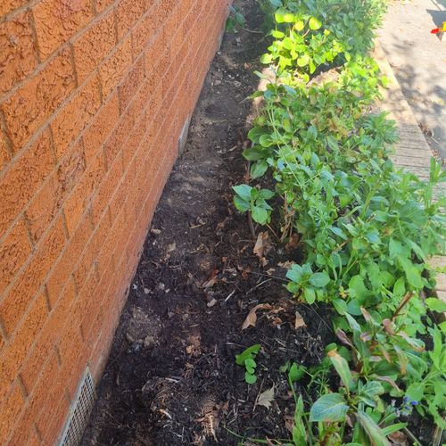 1000014553.jpg 1000014553.jpg