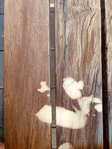 IMG_4652.jpeg IMG_4652.jpeg