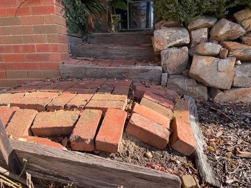 IMG_9559.jpeg IMG_9559.jpeg