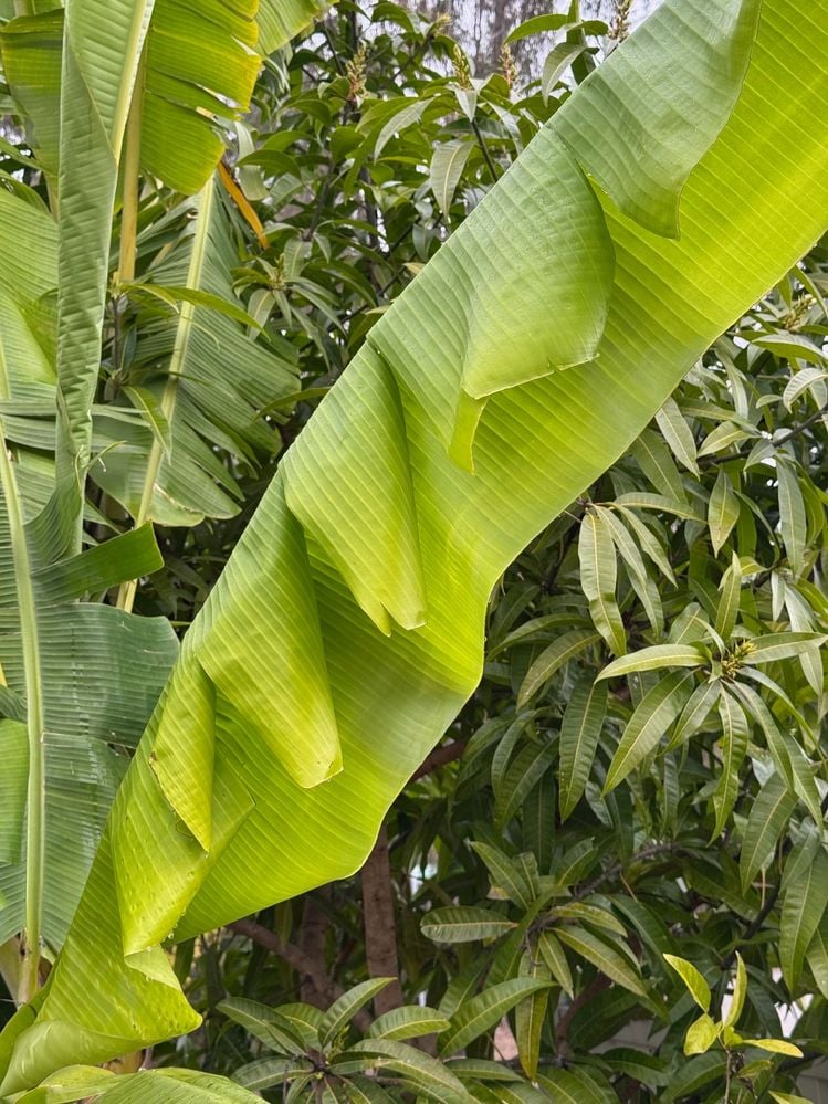 image2.jpeg image2.jpeg