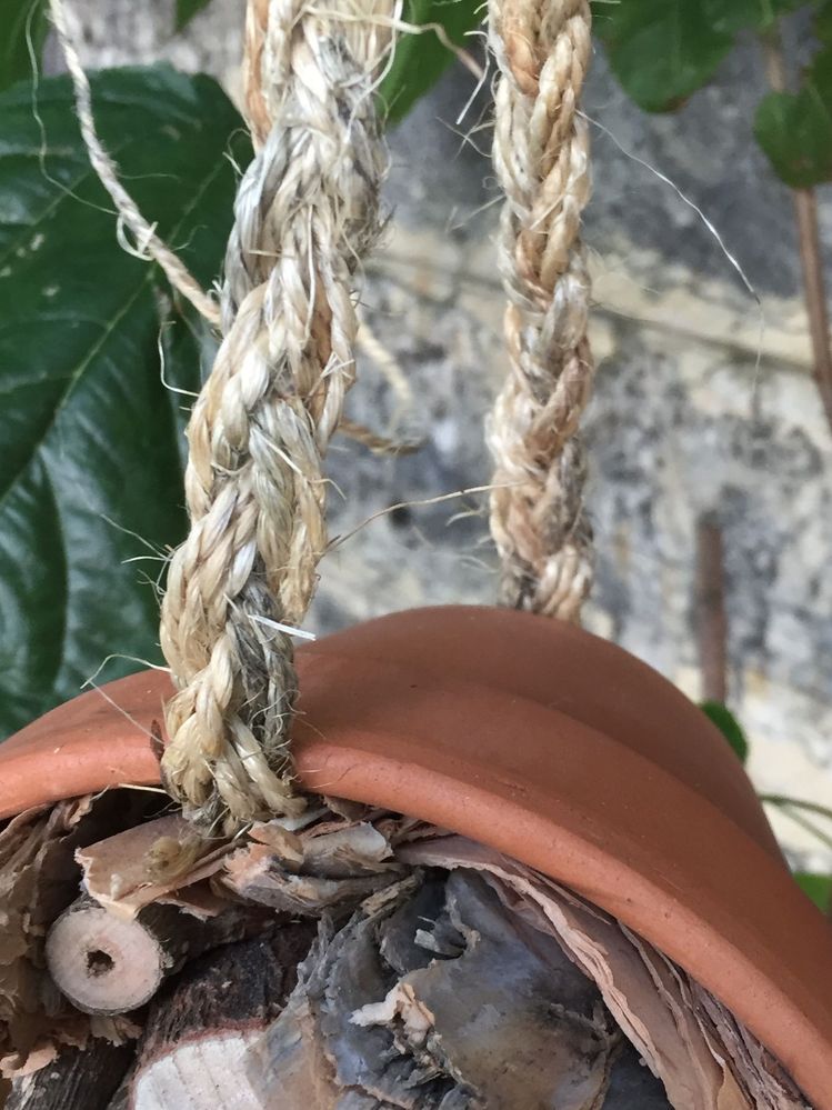 6BB42A43-B79C-4A73-AEC3-0849EFE8EE5A.jpeg 6BB42A43-B79C-4A73-AEC3-0849EFE8EE5A.jpeg