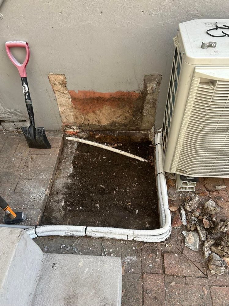 460370345_900479521992541_708468251069535289_n.jpg 460370345_900479521992541_708468251069535289_n.jpg