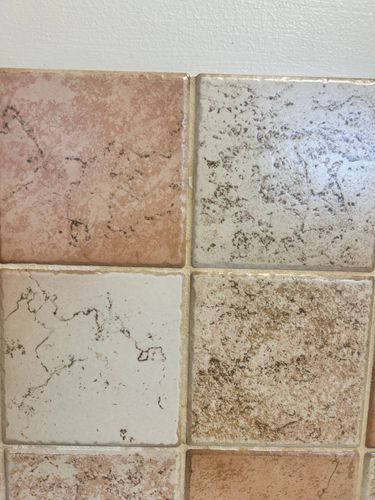 IMG_4064.jpeg IMG_4064.jpeg