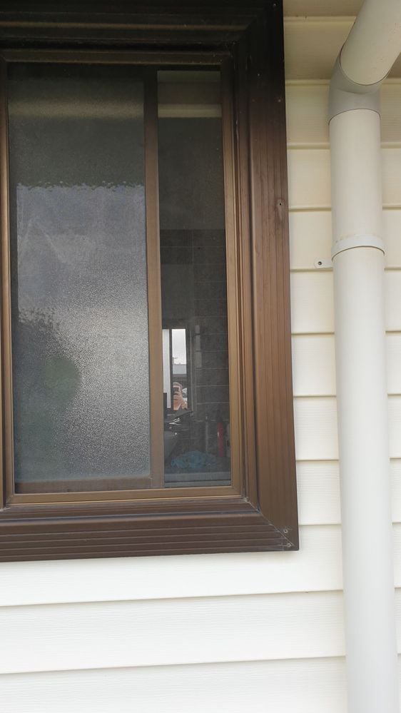 20210501_160353.jpg 20210501_160353.jpg