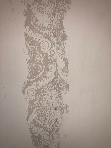 IMG_8843.jpeg IMG_8843.jpeg