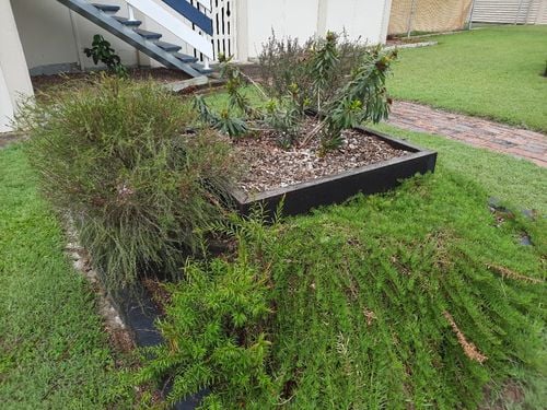 20241127_135200.jpg 20241127_135200.jpg