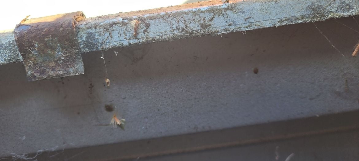 Gutter Clip no1.jpg Gutter Clip no1.jpg