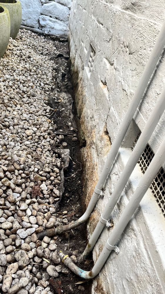 IMG_8567.jpeg IMG_8567.jpeg