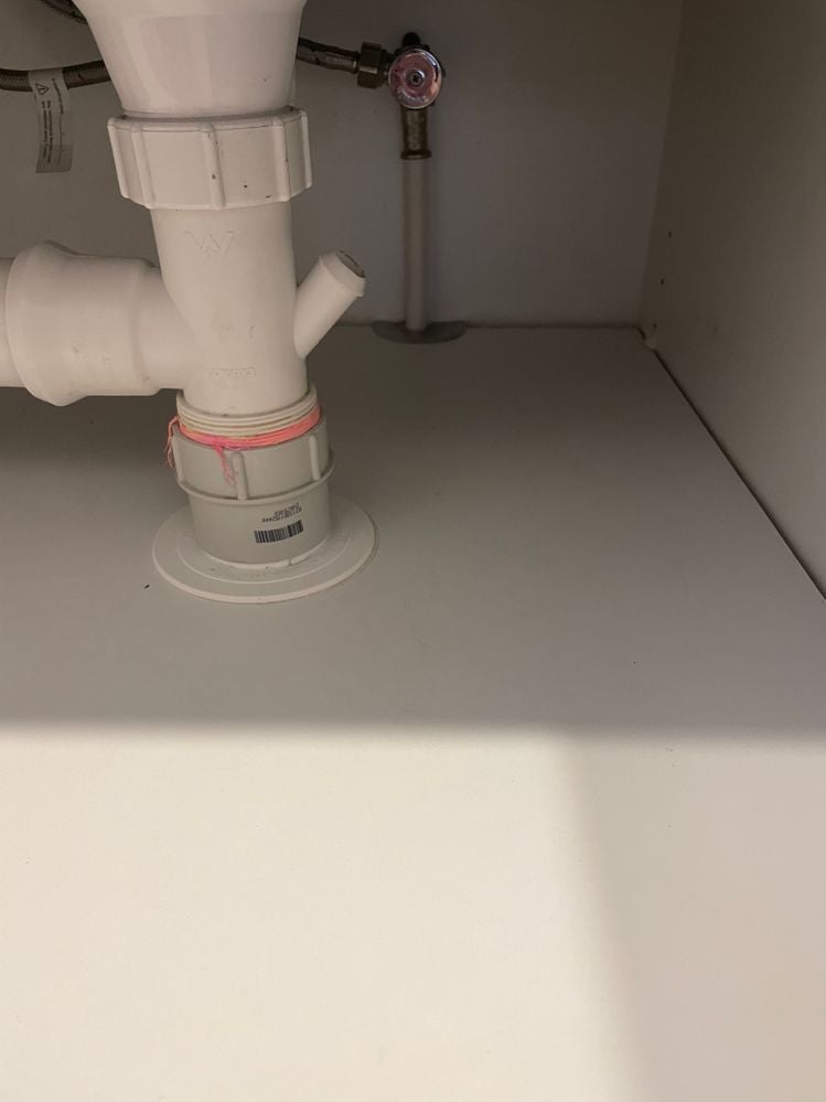 IMG_3153.jpeg IMG_3153.jpeg