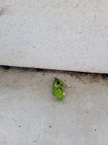 20241201_100217.jpg 20241201_100217.jpg