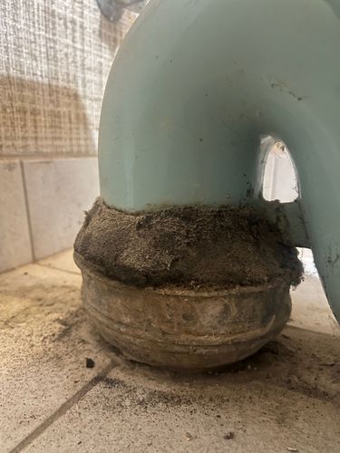 IMG_6320.jpeg IMG_6320.jpeg