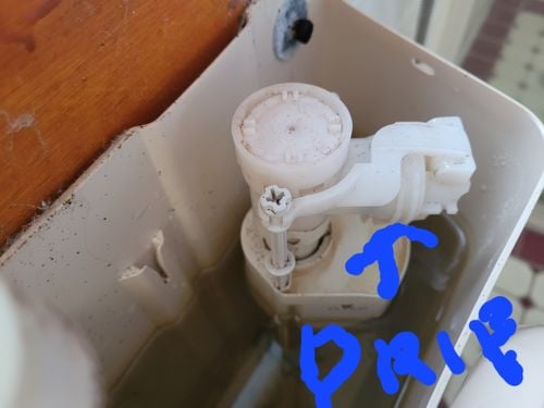 20240704_130948.jpg 20240704_130948.jpg