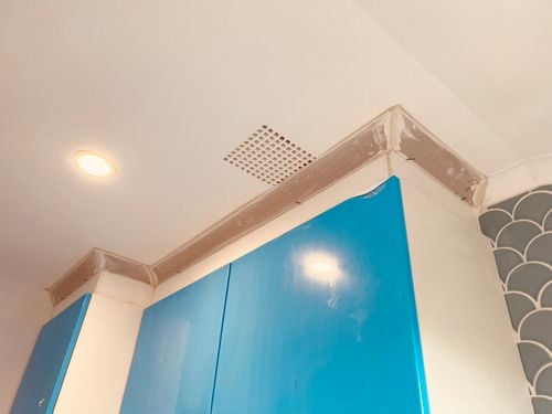 IMG_6487.jpeg IMG_6487.jpeg