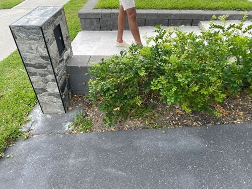 IMG_0546.jpeg IMG_0546.jpeg