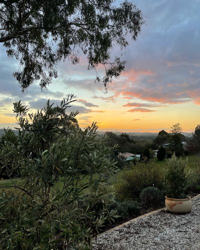 CD3F0780-8966-414B-95A7-F21AFC57995F.jpeg CD3F0780-8966-414B-95A7-F21AFC57995F.jpeg