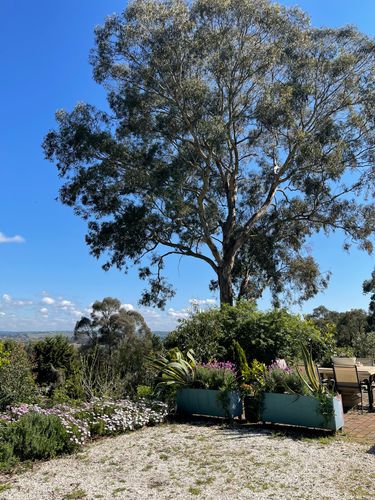 38691555-2DDF-4F74-9AA5-9B2E7182711C.jpeg 38691555-2DDF-4F74-9AA5-9B2E7182711C.jpeg