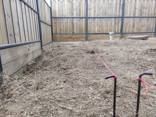 IMG_20241103_183524.jpg IMG_20241103_183524.jpg