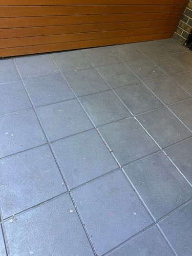 IMG_8987.jpeg IMG_8987.jpeg